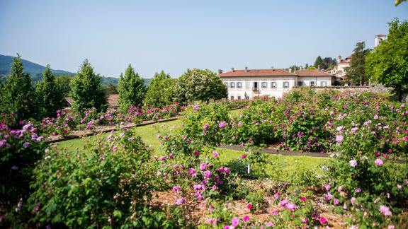 FAI – Villa Della Porta Bozzolo