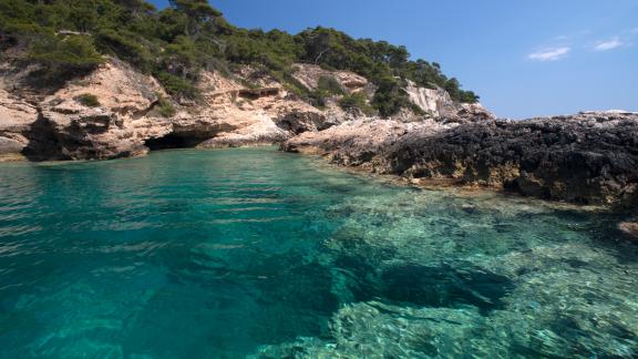 La barriera corallina? Si trova in Puglia!