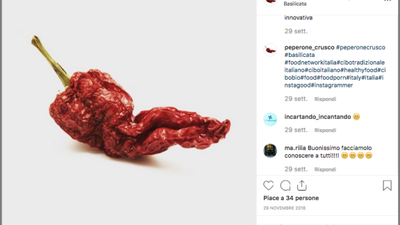 Un sondaggio svela qual è il cibo tipico italiano più apprezzato: ma per molti è davvero sconosciuto!