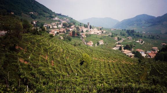 Il Prosecco è Patrimonio Mondiale dell'Umanità  