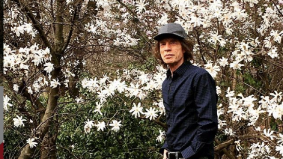 Mick Jagger in incognito  incantato dal Duomo di Siena