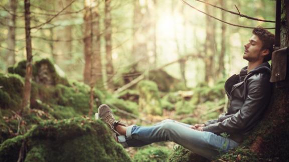 Vuoi ascoltare il rumore del bosco? C'è una mappa online che ti permette di farlo