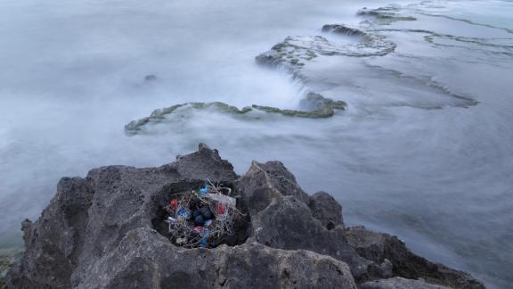 Uomo – Fauna Selvatica : destini incrociati, territori condivisi