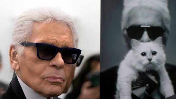 Karl Lagerfled: le vacanze beate della sua gatta Choupette