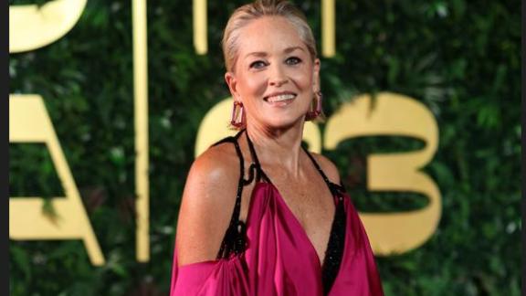 Sharon Stone provocatoria: essere famosi è davvero costoso!