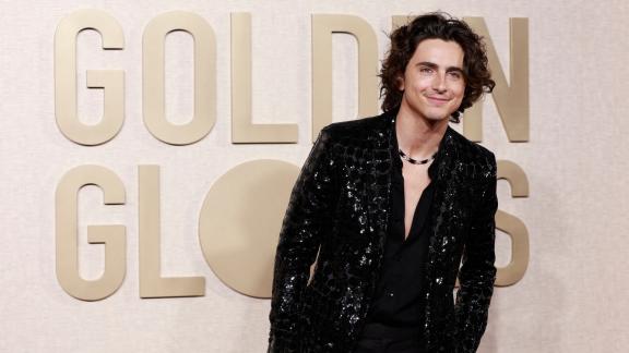  Timothée Chalamet non ha mai incontrato Bob Dylan 