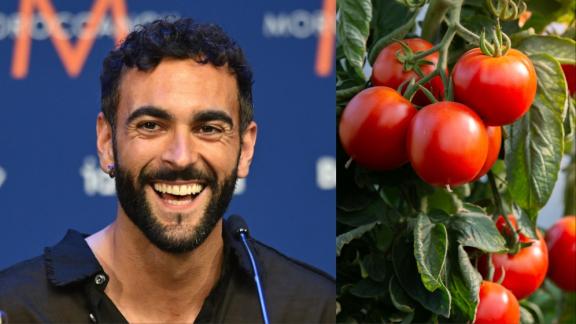 Marco Mengoni: ecco perché sono apparse lattine di polpa di pomodoro con il suo nome