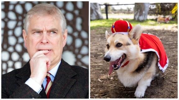Nuovo schiaffo per l'ex Principe Andrea.  C'entrano i corgi della Regina Elisabetta