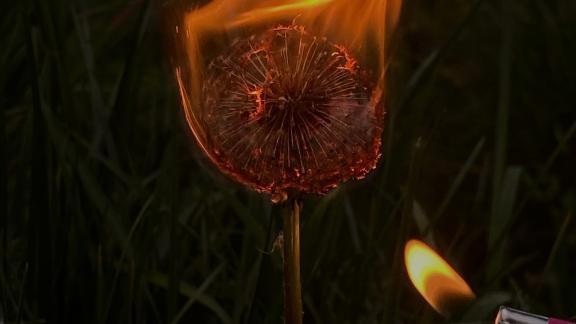 Milano PhotoVogue Festival 2022