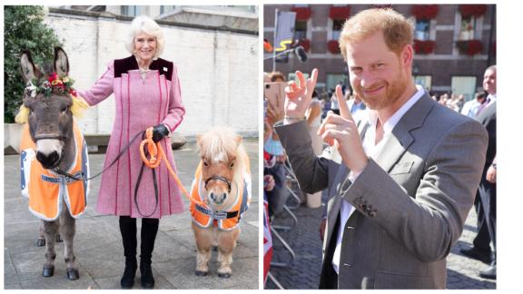 E ora il Principe Harry accusa Camilla