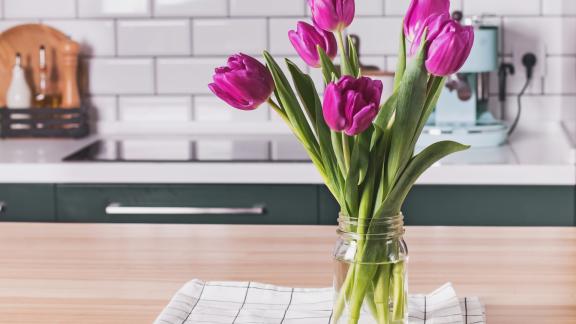 «Pane e Tulipani». Il capolavoro di Soldini compie vent’anni