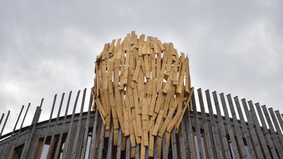 Strani nidi giganteschi sono apparsi a Milano:  l'enigma risolto