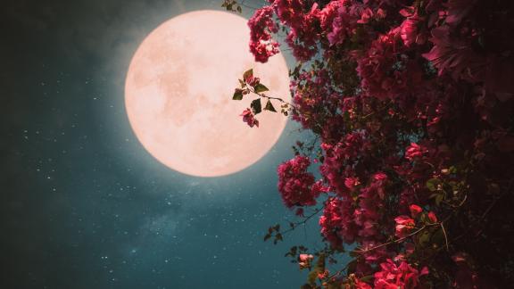 Dalla Luna rosa  all'eclissi ibrida, gli spettacoli nel cielo d'aprile
