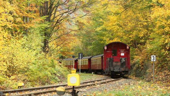Tutto il fascino dei treni del foliage