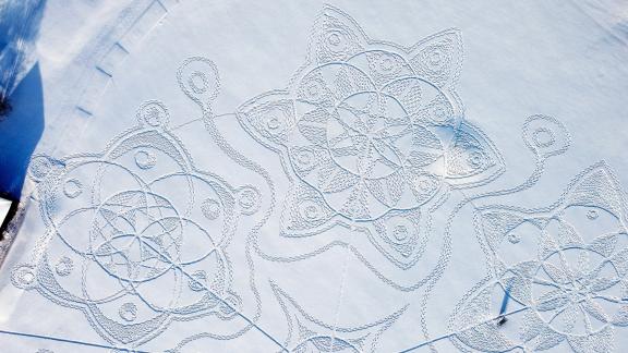 Arazzi sulla neve: il meraviglioso fiore che sta conquistando il mondo