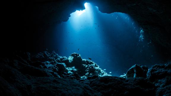 Alla ricerca del suono del mare