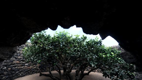 Agrumi e leggende: i magici giardini di Pantelleria