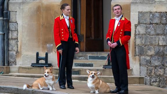 Addio corgi della Regina! A Buckingham Palace arrivano i jack russell del nuovo Re