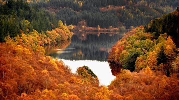 Torna il treno del foliage: ed è subito magia
