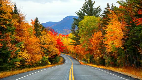 Ecco cosa causa il foliage: tutte le curiosità su questo splendido fenomeno naturale