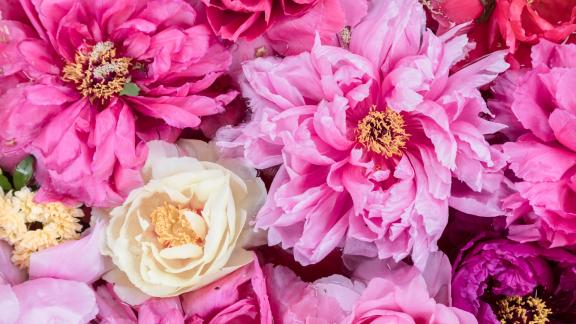 Arriva San Valentino… ma sapete in realtà chi era San Valentino?
