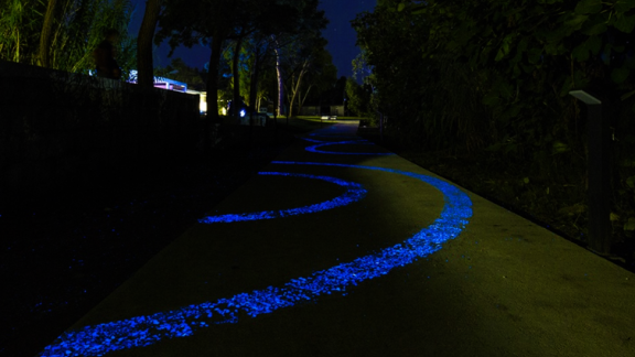 La pista ciclabile luminescente più lunga del mondo si trova in Campania