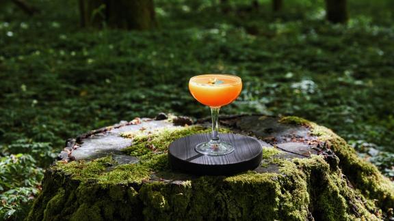 Quel bar nel bosco  è un vero incanto