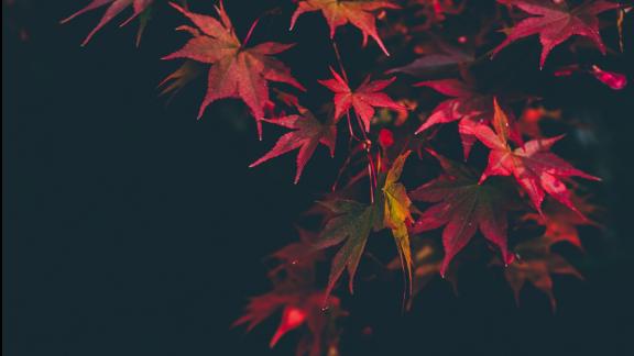Il primo giorno d'autunno 2019 è il 23 settembre. Ecco perché