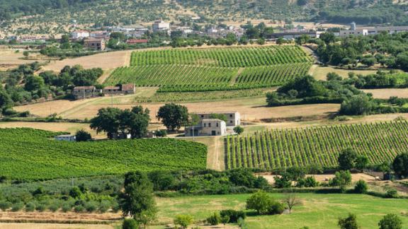 Le meraviglie del Giardino dei Sonagli in Calabria, tra natura e musica