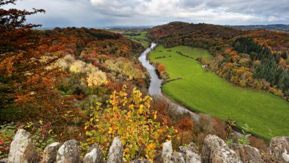 Nasce in Inghilterra il primo percorso per contemplare il foliage, la magia dell'autunno 