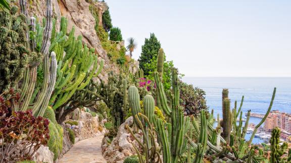 A Monaco c'è un Giardino Esotico tra cielo e mare che ti farà impazzire