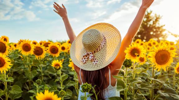 Un agricoltore pianta 2 milioni di girasoli per regalare gioia alle persone