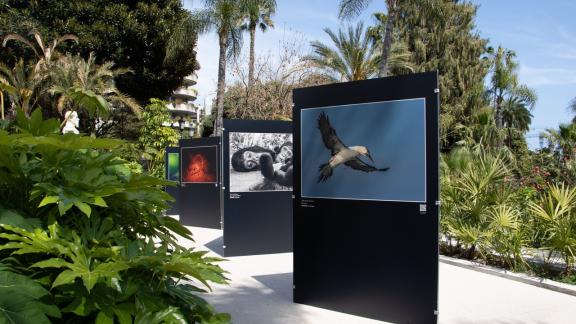 Uomo – Fauna Selvatica: destini incrociati, territori condivisi