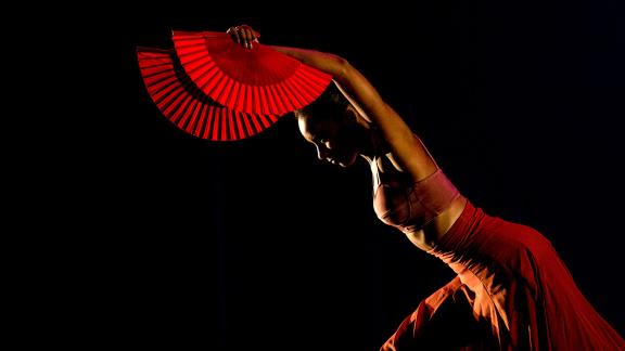 29 aprile: International Dance Day