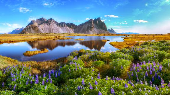 Dall'Islanda all'Austria... ecco i Paesi più pacifici del mondo