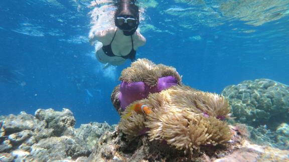 L'hotel sommerso nella Grande Barriera Corallina