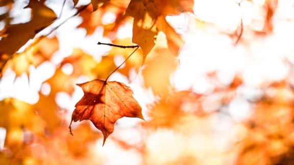 Oggi salutiamo l'estate, è l'equinozio d'autunno