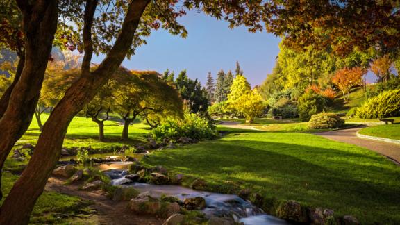 Vivere la natura per vivere meglio: riscopri la bellezza dei parchi dietro casa