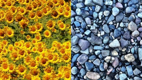 2021: i colori dell'anno esprimono luce e speranza