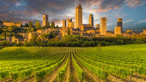 Vino e design: le cantine italiane dove la vendemmia diventa un'opera d'arte
