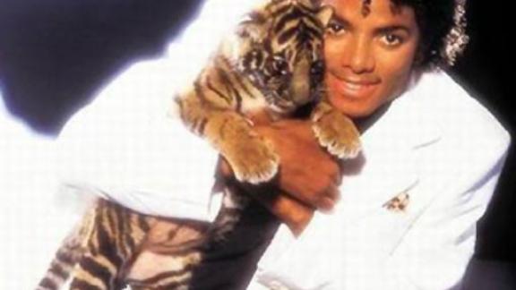 Scompare la tigre di Jacko