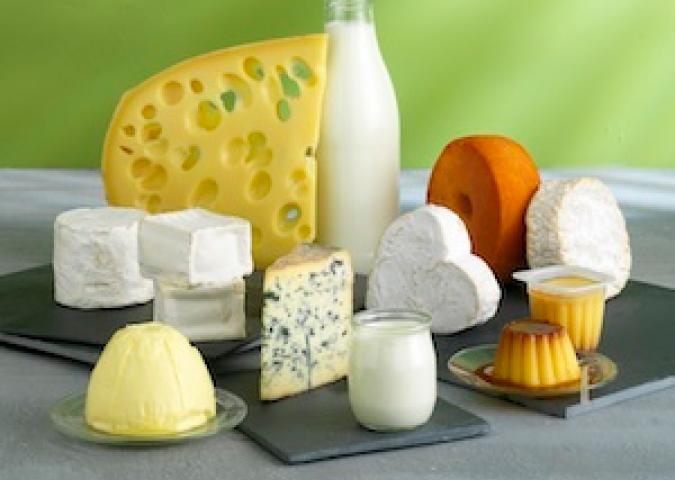 SAMANTHA BIALE Diet Coach: latte, formaggi, yogurt possono aiutare a stare in linea