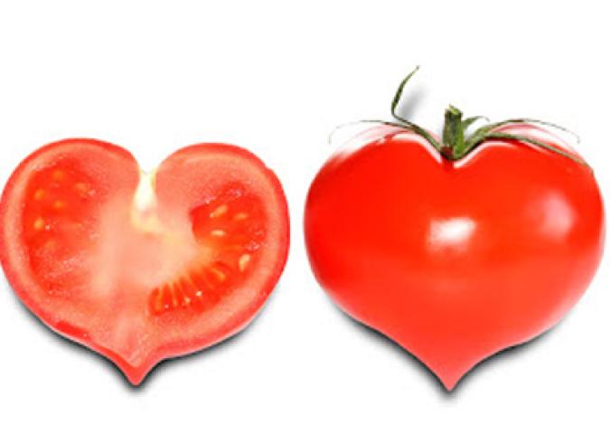 SAMANTHA BIALE Diet Coach, una pillola a base di pomodoro per prevenire l’infarto