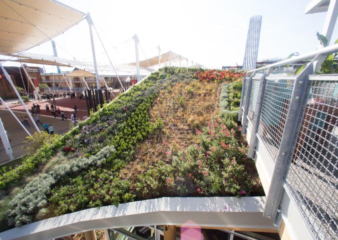 ANTONIO BERTOLOTTO Fondatore del MarcoPolo Enviromental Group, il concetto del tetto vegetale