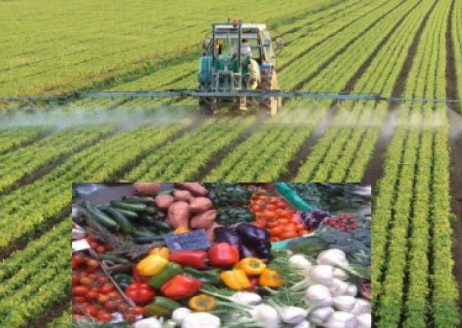 DOTT.SSA DEBORA RASIO, frutta e verdura trattata con i pesticidi