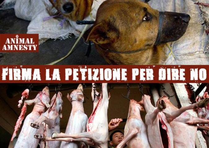 DAVIDE CAVALIERI Direttore di Radio Bau, petizioni contro il Festival di carne di cane a Yulin 