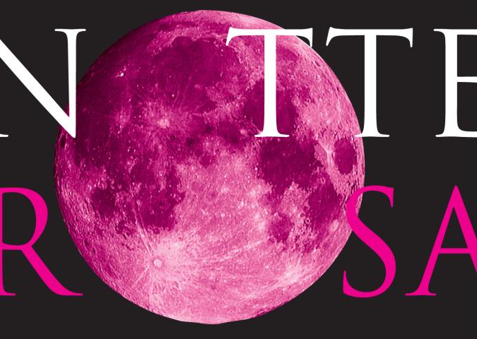 LIVIANA ZANETTI Presidente della Notte Rosa