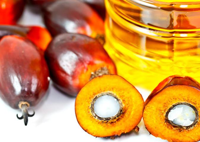 SAMANTHA BIALE Diet Coach, l’olio di palma