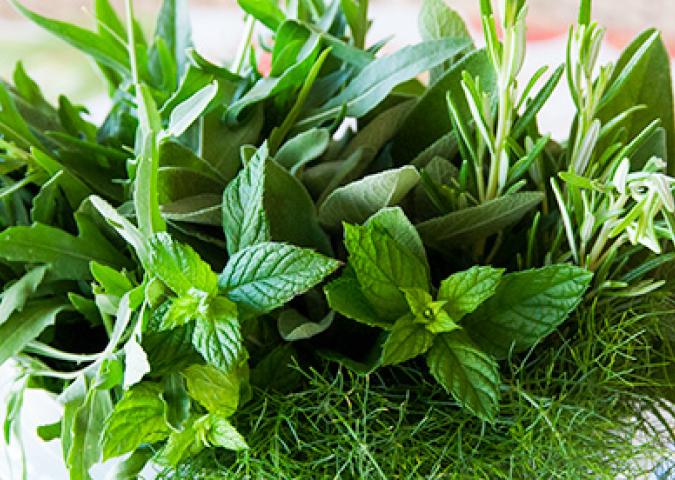 SAMANTHA BIALE Diet Coach, le erbe aromatiche 