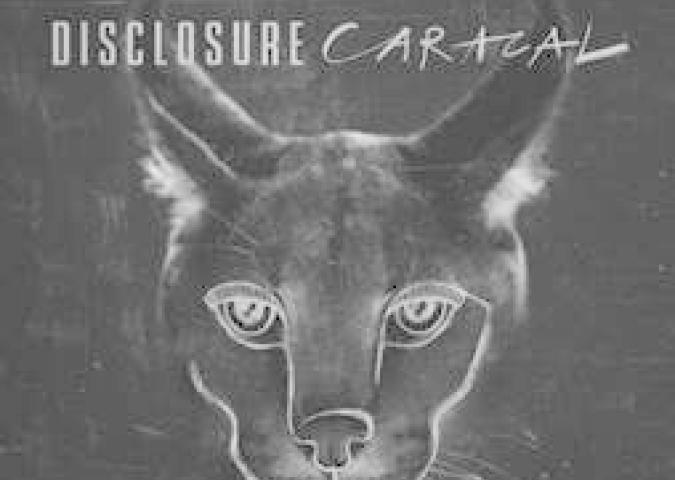 Caracal: il nuovo album dei Disclosure che fa riferimento al gatto selvatico